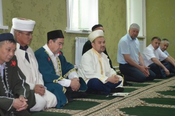 kamizyak